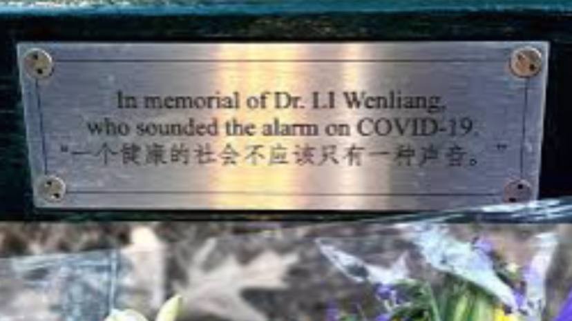 不要忘记：一位中国医生的纪念长椅和去年11月的回顾